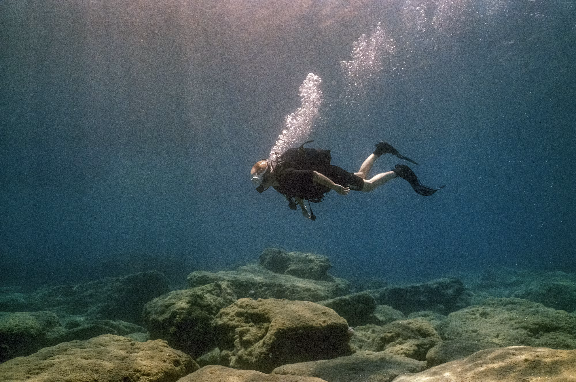 Diving into Adventure: A Comprehensive Guide to the Many Types of Diving