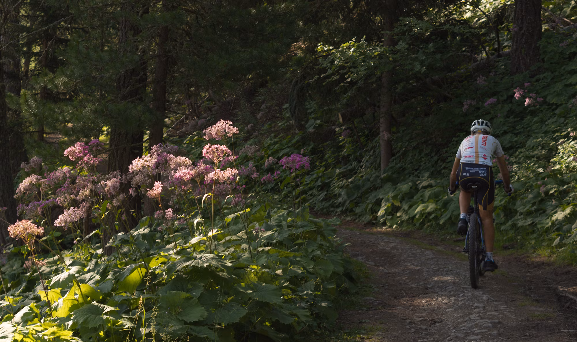 Cycling as a Lifestyle: Finding Joy and Freedom on Two Wheels